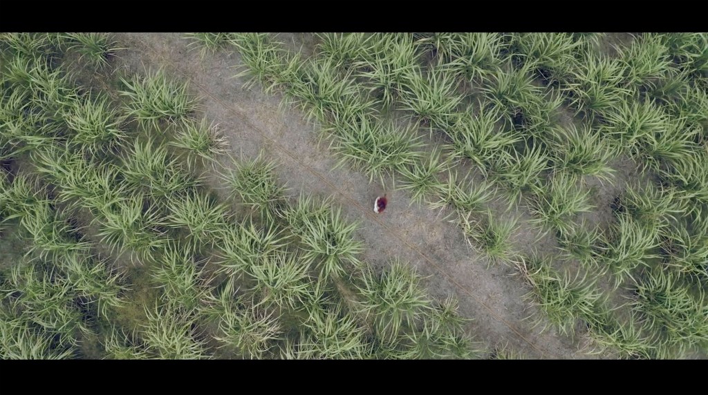 ԿԱ՛ՆԳ ԱՌ /&nbsp;STOP!